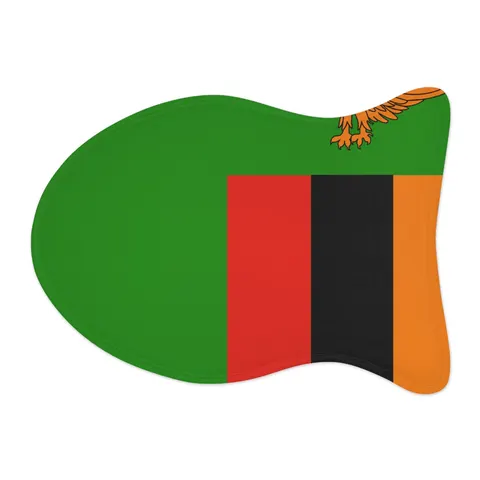Zambia Green Field & Orange Eagle Pet Feeding Mats — other view