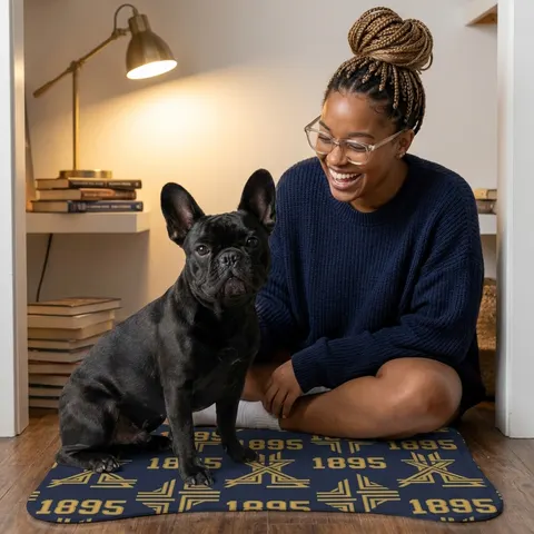 Pet Feeding Mats