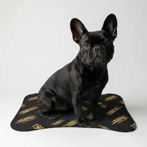 Grambling 1901 Black & Gold Edge Pet Feeding Mats