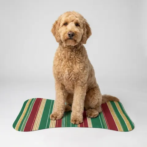 Holiday Gift Wrap Stripes Pet Feeding Mats