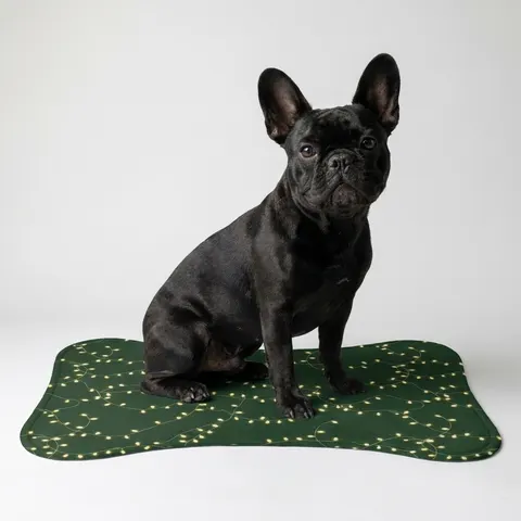 Holiday String Lights on Green Pet Feeding Mats