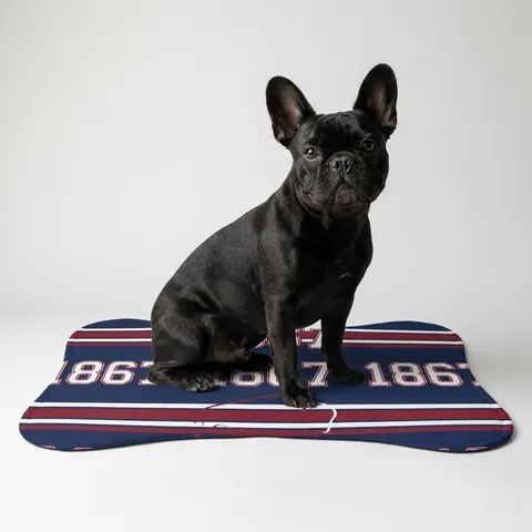 Howard 1867 Navy & Crimson Pet Feeding Mats