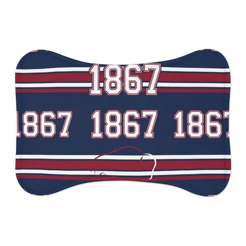 Howard 1867 Navy & Crimson Pet Feeding Mats — other view