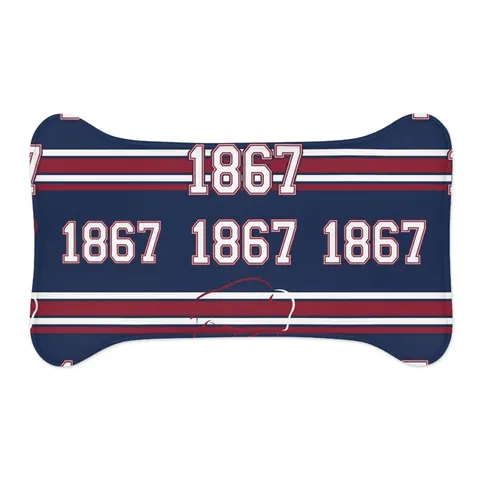 Howard 1867 Navy & Crimson Pet Feeding Mats — other view