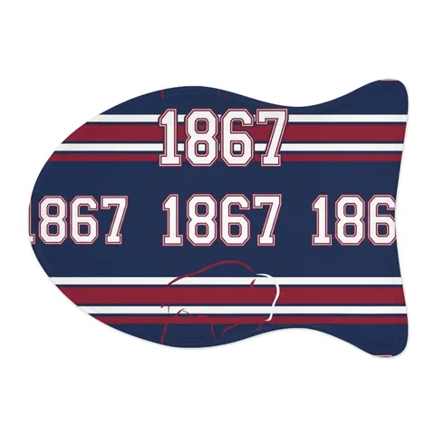 Howard 1867 Navy & Crimson Pet Feeding Mats — other view