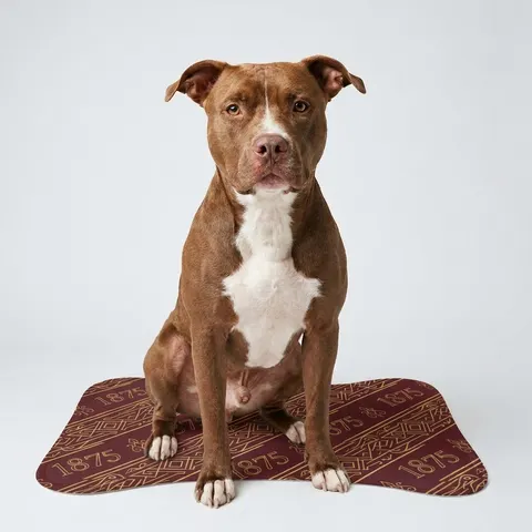 Pet Feeding Mats
