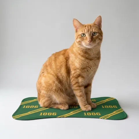 Pet Feeding Mats