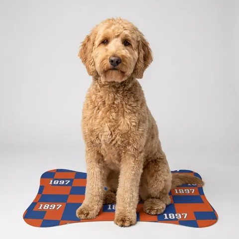 Langston 1897 Orange & Blue Pet Feeding Mats