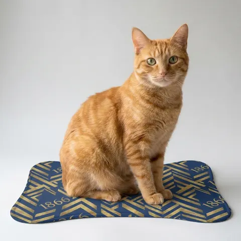 Pet Feeding Mats