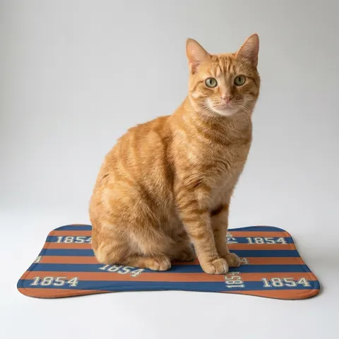 Pet Feeding Mats