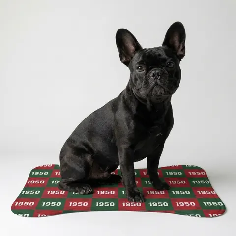 Pet Feeding Mats