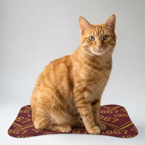 Morehouse 1867 Maroon & Gold Classic Pet Feeding Mats