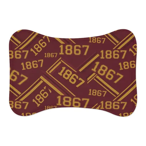 Morehouse 1867 Maroon & Gold Classic Pet Feeding Mats — other view