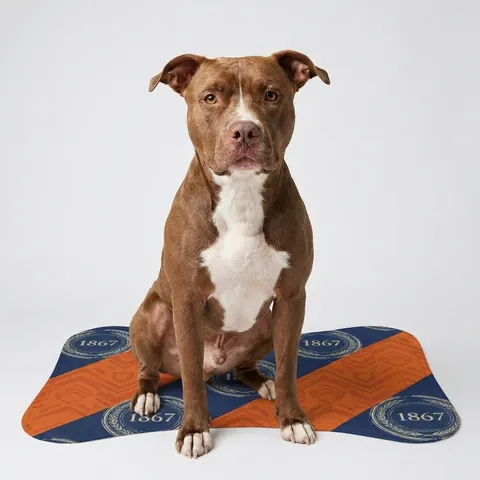 Morgan State 1867 Orange & Royal Pet Feeding Mats