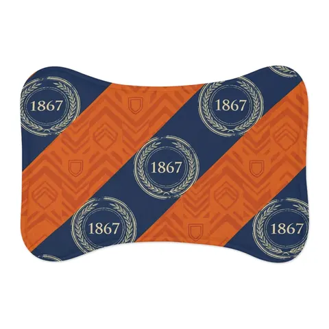 Morgan State 1867 Orange & Royal Pet Feeding Mats — other view