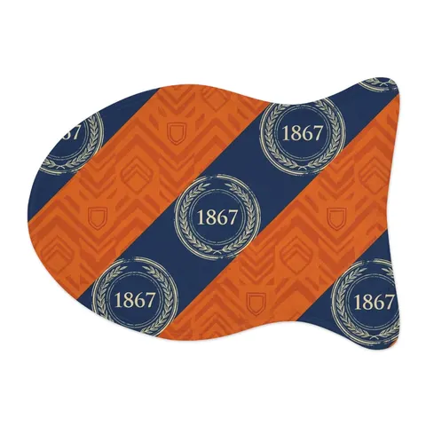 Morgan State 1867 Orange & Royal Pet Feeding Mats — other view