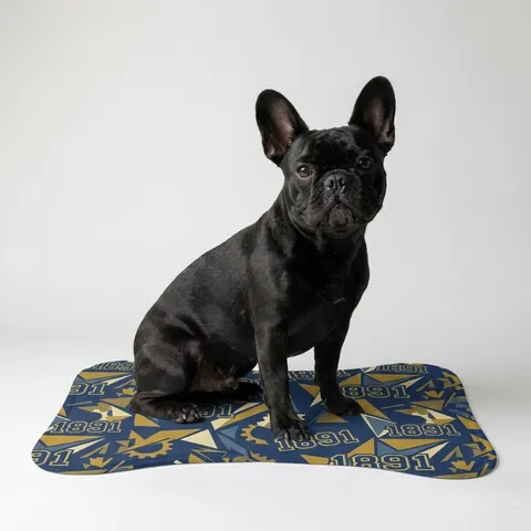 NC A&T 1891 Blue & Gold Tech Pattern Pet Feeding Mats
