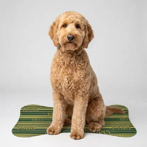 Pet Feeding Mats
