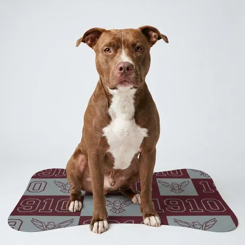 Pet Feeding Mats