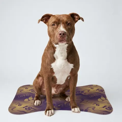 Prairie View 1876 Purple & Gold Pet Feeding Mats