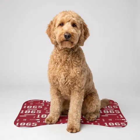 Pet Feeding Mats