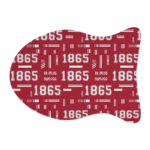Shaw 1865 Crimson & White Pet Feeding Mats — other view