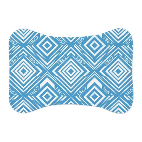 Saint Augustine's 1867 Blue & White Pet Feeding Mats — other view