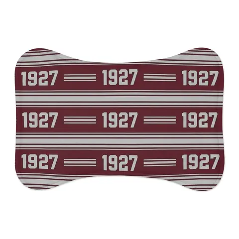 Texas Southern 1927 Maroon & Grey Pet Feeding Mats — other view