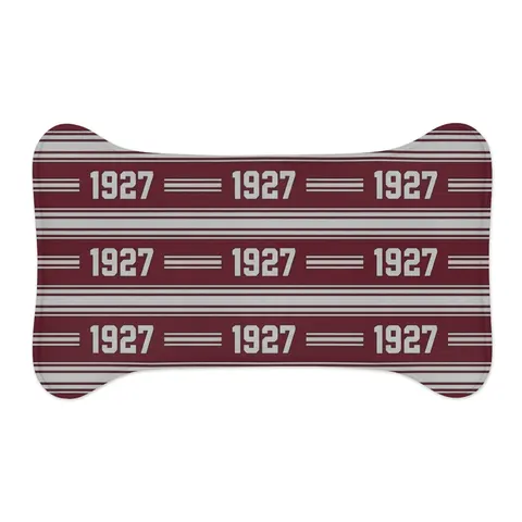 Texas Southern 1927 Maroon & Grey Pet Feeding Mats — other view