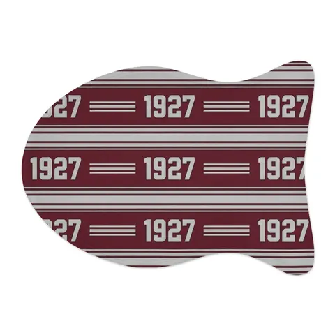 Texas Southern 1927 Maroon & Grey Pet Feeding Mats — other view