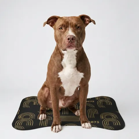 Pet Feeding Mats