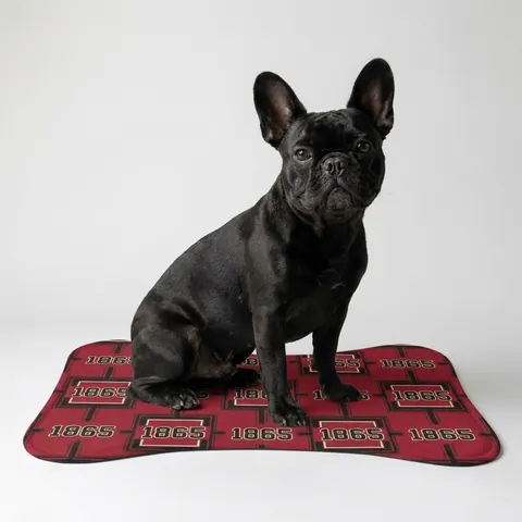 Virginia Union 1865 Crimson & Black Pet Feeding Mats