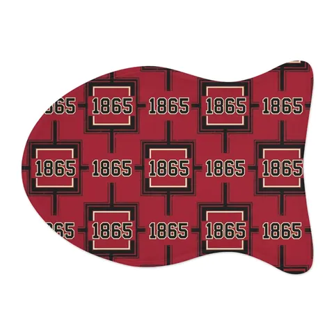 Virginia Union 1865 Crimson & Black Pet Feeding Mats — other view