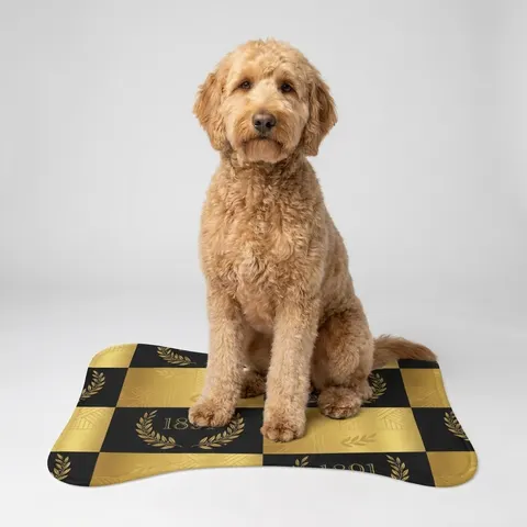 Pet Feeding Mats