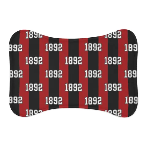 Winston-Salem State 1892 Red & Black Pet Feeding Mats — other view
