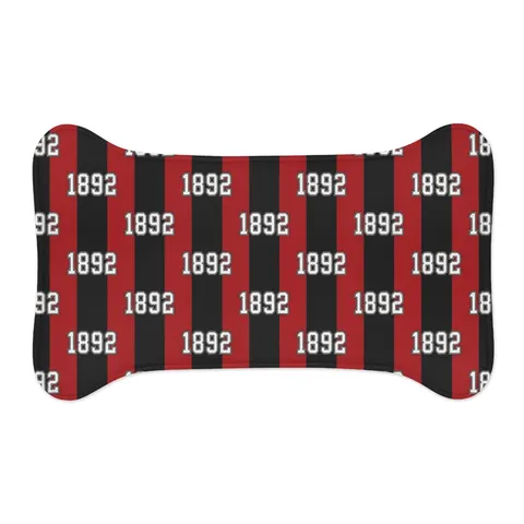 Winston-Salem State 1892 Red & Black Pet Feeding Mats — other view