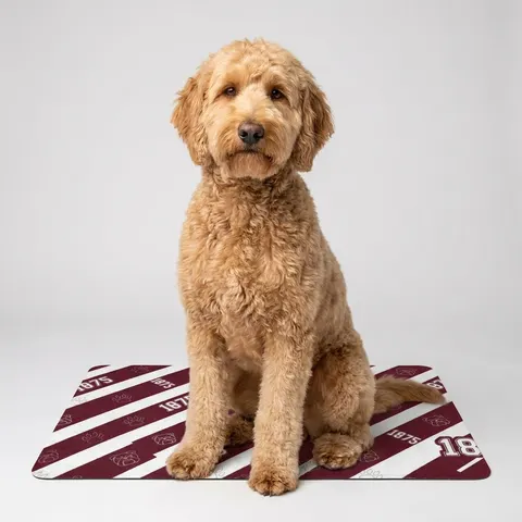 Alabama A&M 1875 Maroon & White