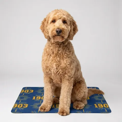 Albany State 1903 Blue & Gold Sunburst Pet Food Mat (12x18)