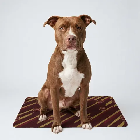 Bethune-Cookman 1904 Maroon & Gold Pet Food Mat (12x18)