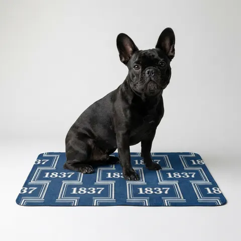 Cheyney 1837 Blue & White