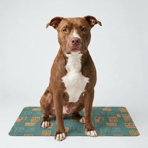 Baltimore Rowhouse Stoops Pet Food Mat (12x18)