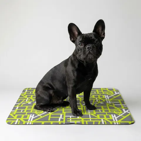 Queens South Jamaica Grid Pet Food Mat (12x18)