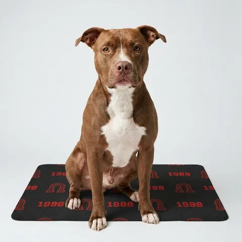 Clark Atlanta 1988 Black & Red Arch Pet Food Mat (12x18)