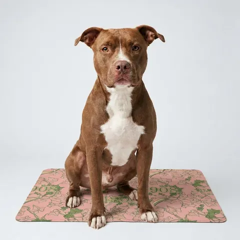 AKA 1908 Pink & Green Ivy Pattern Pet Food Mat (12x18)