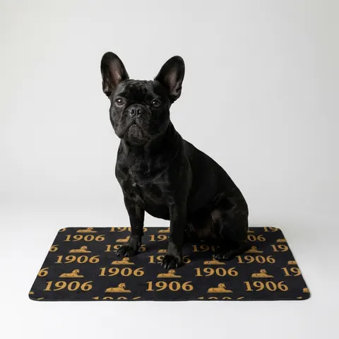 Alpha 1906 Black & Old Gold Pet Food Mat (12x18)