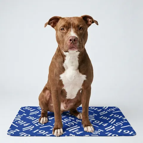 Sigma 1914 Royal Blue & White Pet Food Mat (12x18)