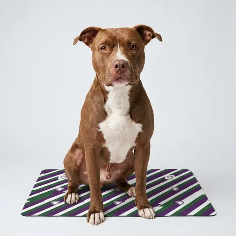 Faith Flag AME-Inspired Purple & Green Pet Food Mat (12x18)