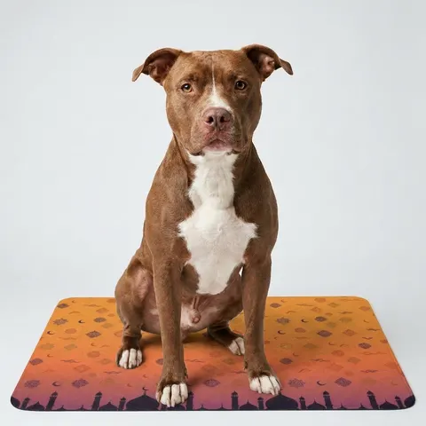 Faith Flag Mosque Sunset Silhouette Pet Food Mat (12x18)