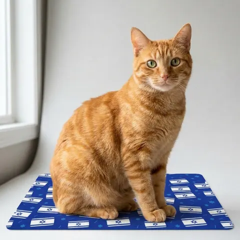 Faith Flag Blue & White Star Emblem Pet Food Mat (12x18)