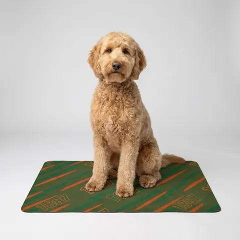 FAMU 1887 Orange & Green Energy Pet Food Mat (12x18)